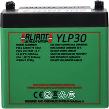 Load image into Gallery viewer, Aliant LiFePO4 Motorcycle Battery - 12v 24Ah equivalent