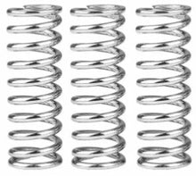 Load image into Gallery viewer, SBS Motorcycle Clutch Spring Kit 30170