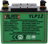 Aliant LiFePO4 Motorcycle Battery - 12v 14Ah equivalent