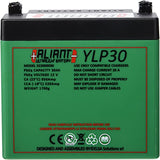 Aliant LiFePO4 Motorcycle Battery - 12v 24Ah equivalent