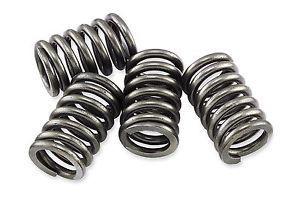 EBC Clutch Spring Kits CSK201