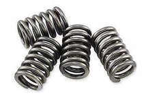 Load image into Gallery viewer, EBC Clutch Spring Kits CSK183